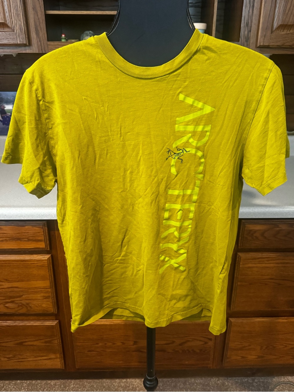 Arc'teryx Short Sleeve Tee in Chartreuse Yellow-Green